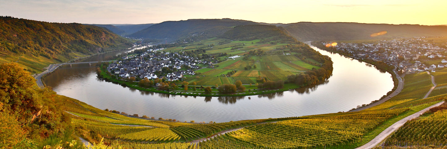 Panorama Ansicht der Lagen im Kröver Nacktarsch